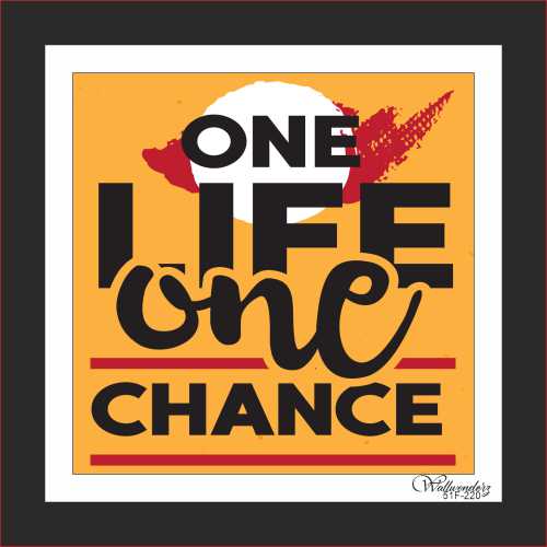 One life one chance