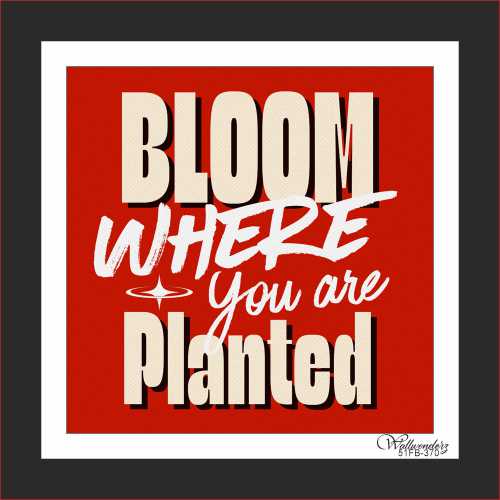 Bloom where you are planted