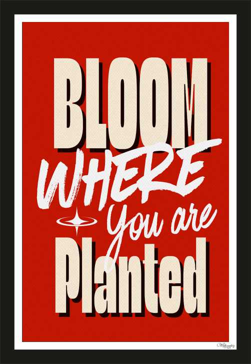 Bloom where you are planted