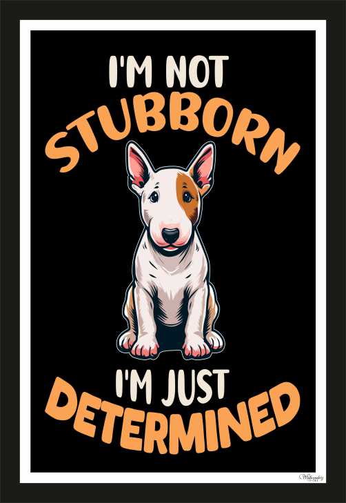 I am not stubborn, I'm just determined