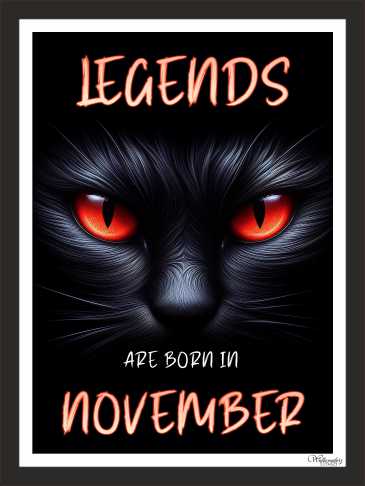 Legends Are Born In November(2)