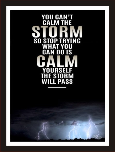 You can't calm the storm so stop trying, what you can..
