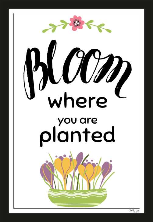 Bloom Where You Are Planted