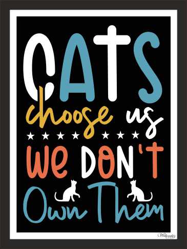 Cats Choose us, we don't own them